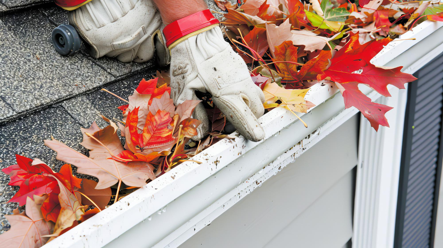 How Regular Gutter Cleaning Saves Arlington Homeowners from Costly Repairs