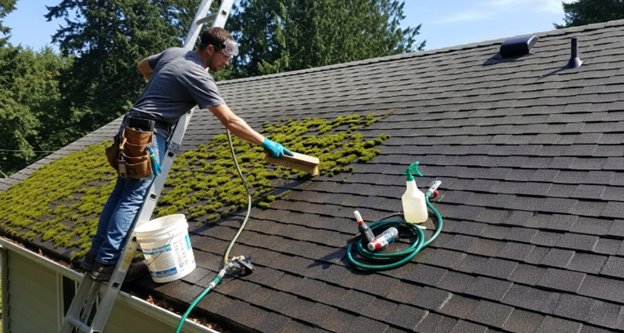 How to remove moss from roof with soft-bristle brush and cleaning solution