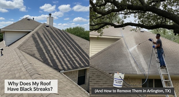 black streaks on roof Arlington TX