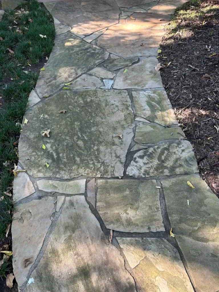 Flagstone path with algae before cleaning