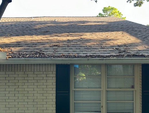 Roof washing by Stegmeier Pressure Washing in the DFW area