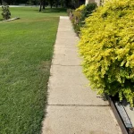 Clean residential sidewalk after pressure washing in Arlington, TX