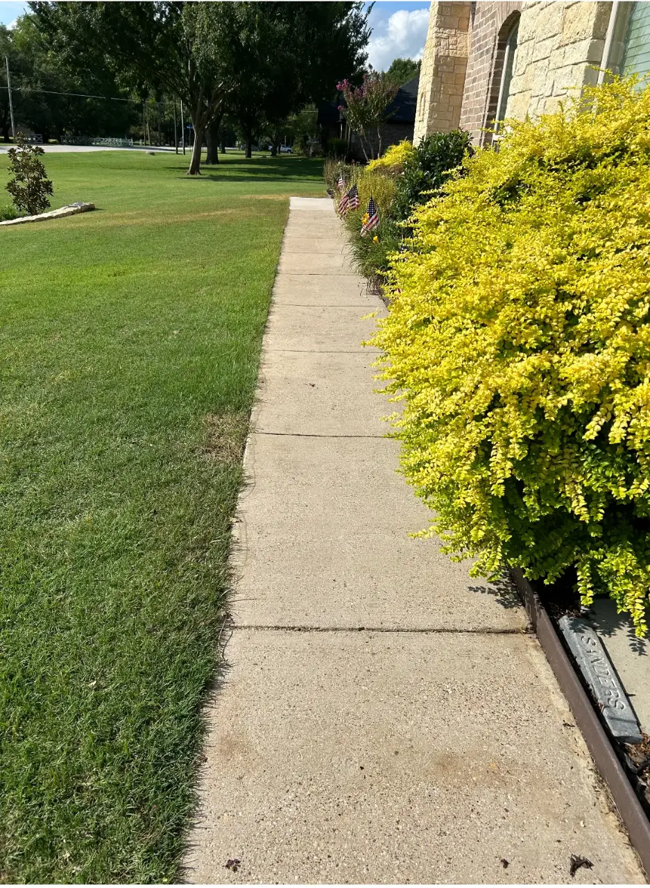 Clean residential sidewalk after pressure washing in Arlington, TX