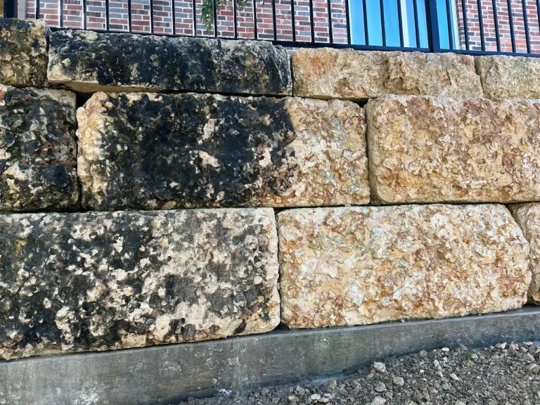 Limestone retaining wall covered in mildew and algae before cleaning