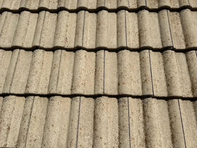 Concrete tile roof after soft wash cleaning in Arlington, TX