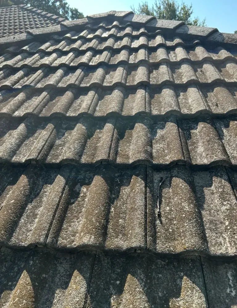 Concrete tile roof with black algae before soft washing in Arlington, TX